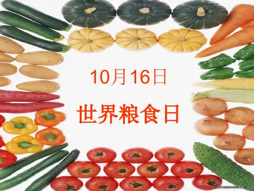 粒粒皆辛苦-主题班会+世界粮食日主题班会,精品系列PPT
