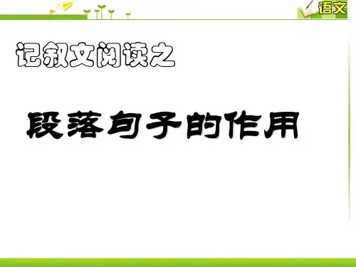 段落作用课件正式用ppt.