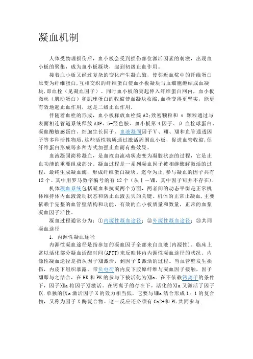 凝血机制含图解