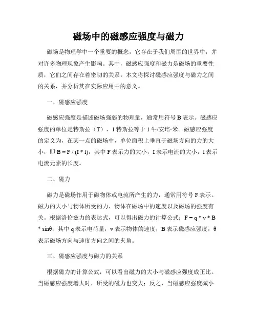 磁场中的磁感应强度与磁力