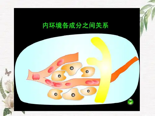 2019人教版高中生物必修三1.2《内环境稳态的重要性》ppt课件