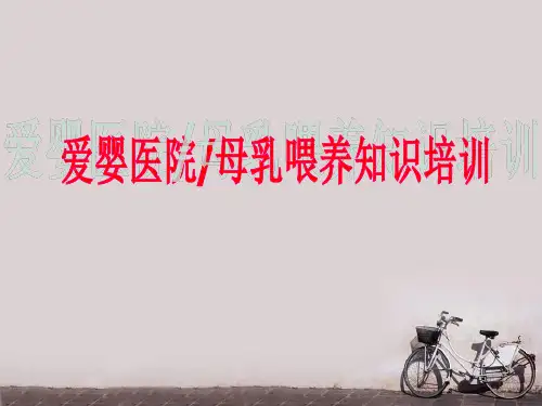 母乳喂养知识培训  ppt课件