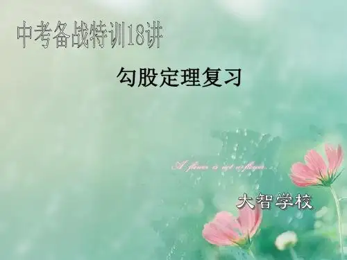 勾股定理的复习课件