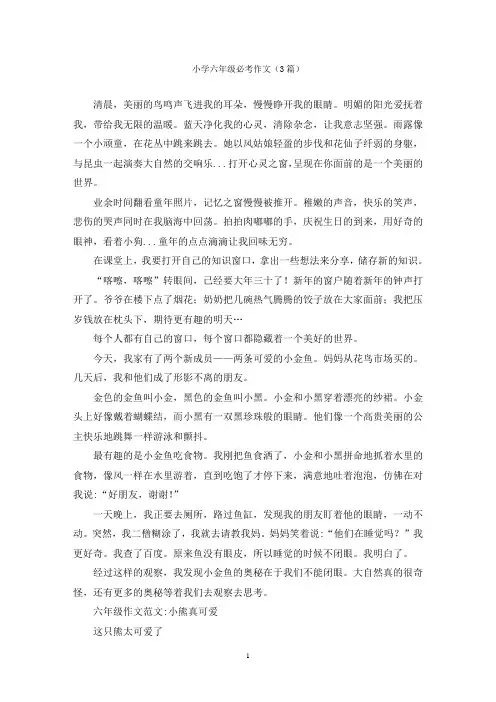 小学六年级必考作文(3篇)