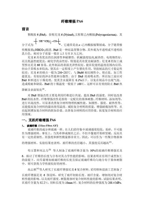 PA6综述