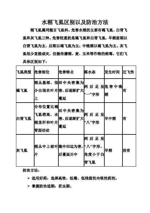 水稻飞虱的区别以及防治方法
