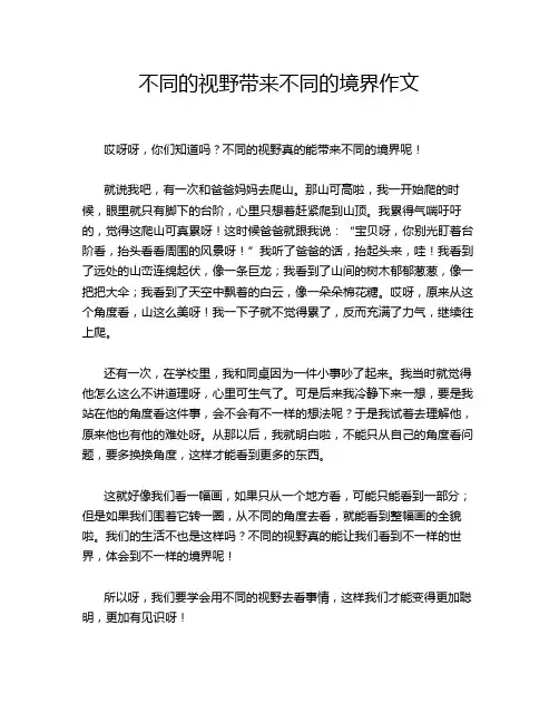 不同的视野带来不同的境界作文