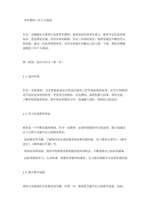 青年教师三年个人规划5