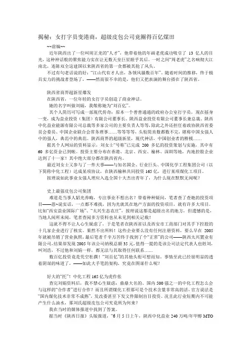 揭秘：女打字员变港商,超级皮包公司竟圈得百亿煤田