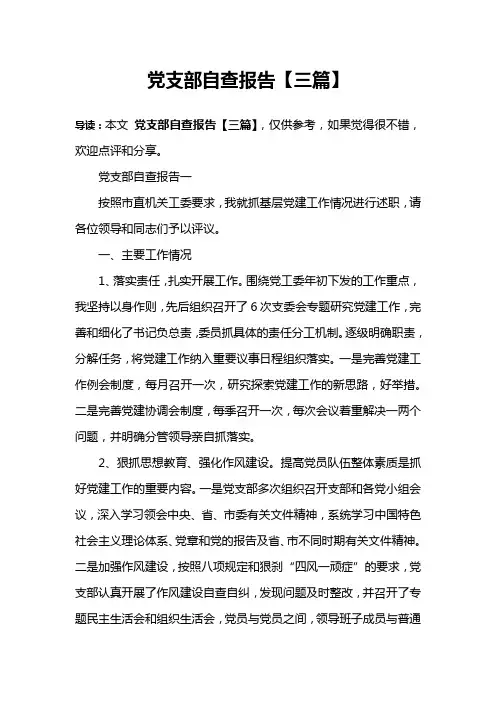 党支部自查报告【三篇】