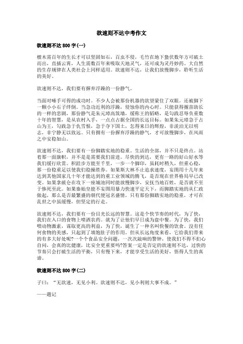欲速则不达中考作文