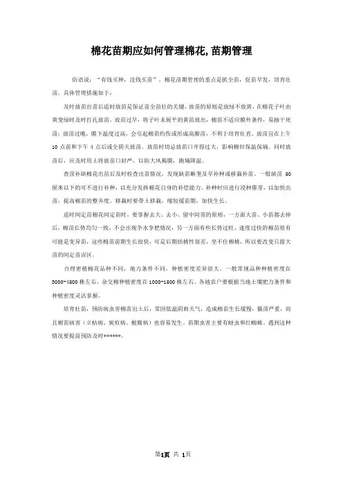 棉花苗期应如何管理棉花,苗期管理