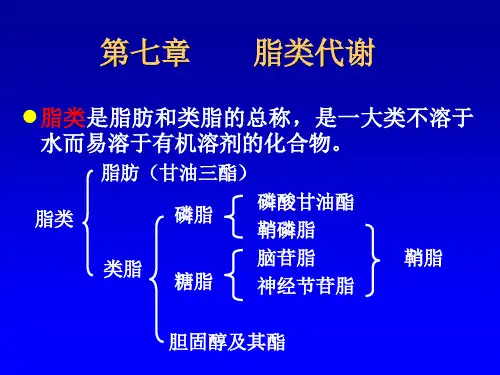 第七章脂类代谢