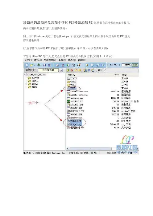 PE个性化修改
