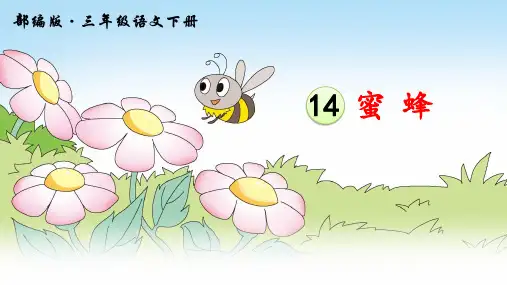 部编人教版三年级语文下册第14课《蜜蜂》PPT课件