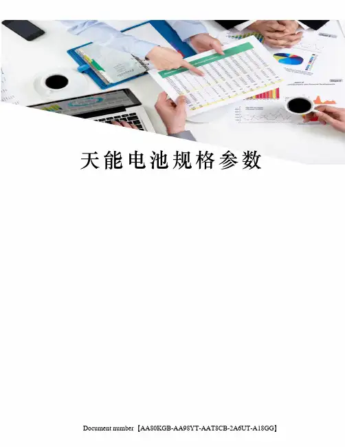 天能电池规格参数
