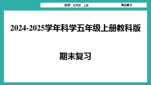 教科版2024-2025学年科学五年级上册期末复习练习课件(共53张PPT).ppt