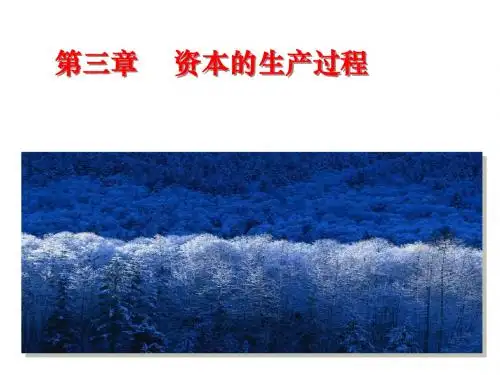 第三章  资本的生产过程