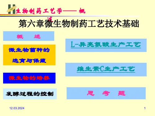 最新发酵工程制药工艺技术基础PPT课件