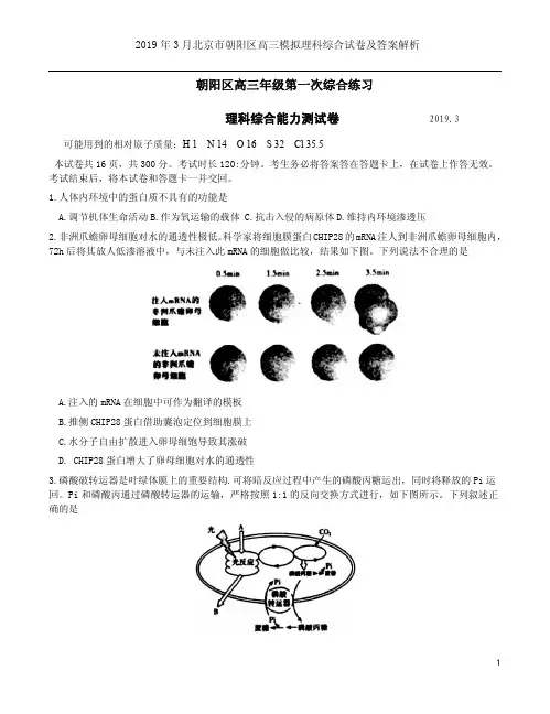 2019年3月北京市朝阳区高三模拟理科综合试卷及答案解析