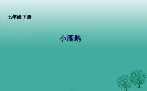 吉林省长市七年级语文下册14小雁鹅课件长版