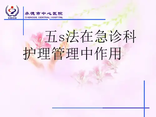 急诊护理五s管理 PPT课件