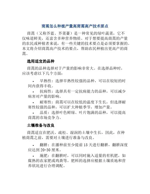茼蒿怎么种植产量高茼蒿高产技术要点
