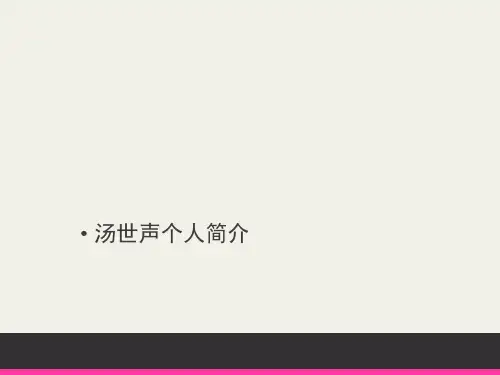 汤世声个人简介