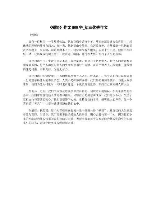 《顿悟》作文800字_初三优秀作文