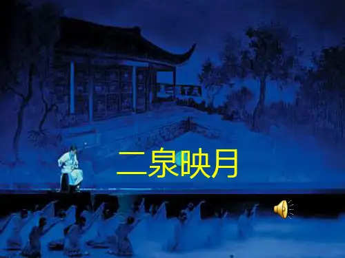 《二泉映月》第1课时课件