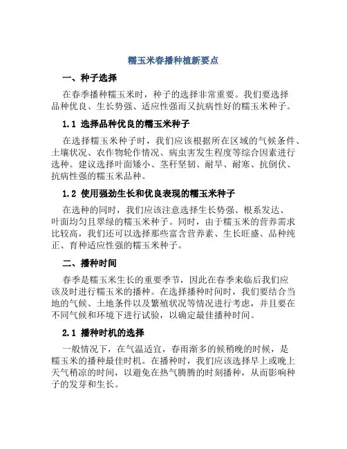 糯玉米春播种植新要点