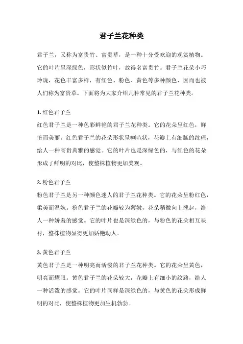 君子兰花种类