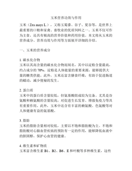 玉米营养功效与作用