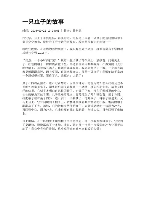 一只虫子的故事