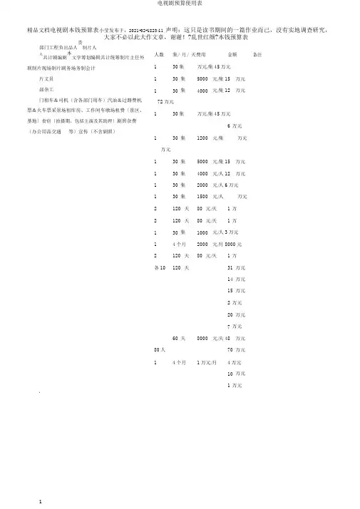 电视剧预算使用表