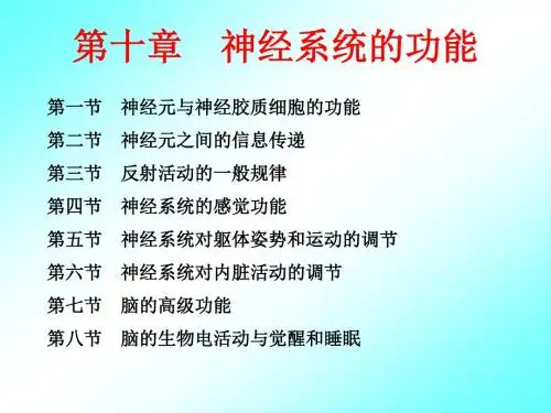 生理学-第十章 神经系统