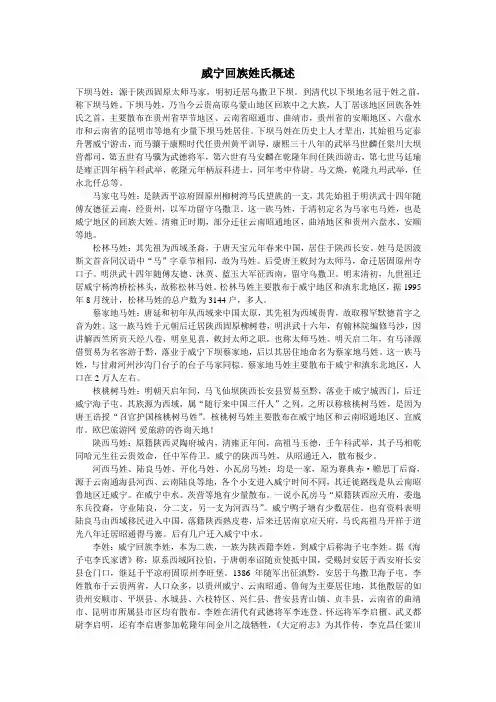威宁回族姓氏概述