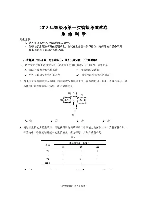 崇明区2018年等级考第一次模拟考试试卷-生命科学