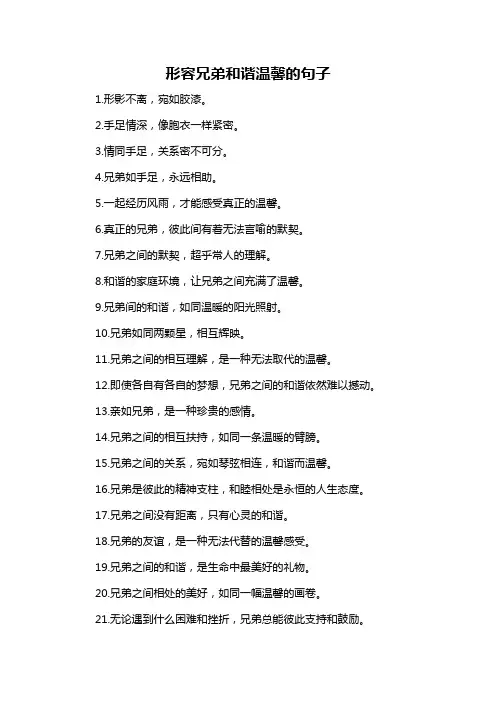 形容兄弟和谐温馨的句子