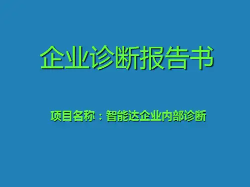某某企业诊断报告书