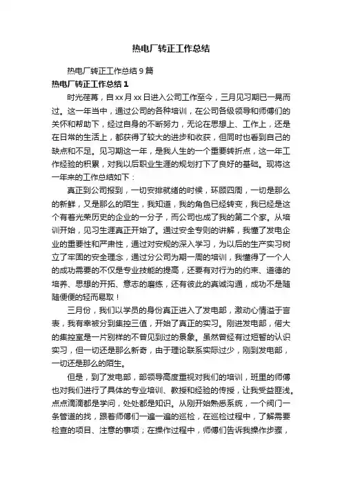 热电厂转正工作总结9篇