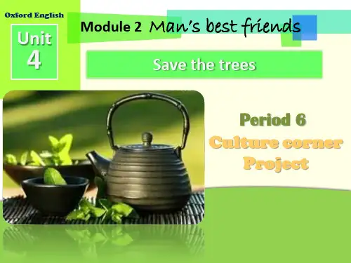 沪教版(牛津)七年级英语下册Unit 4  Save the trees - Period 6   公开课PPT课件