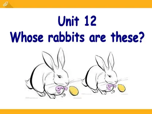 《Whose rabbits are these》PPT课件(完美版)