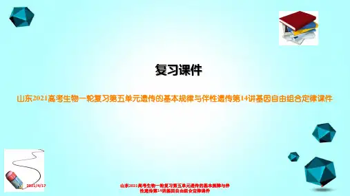 山东2021高考生物一轮复习第五单元遗传的基本规律与伴性遗传第14讲基因自由组合定律课件