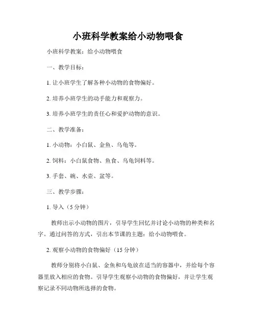 小班科学教案给小动物喂食