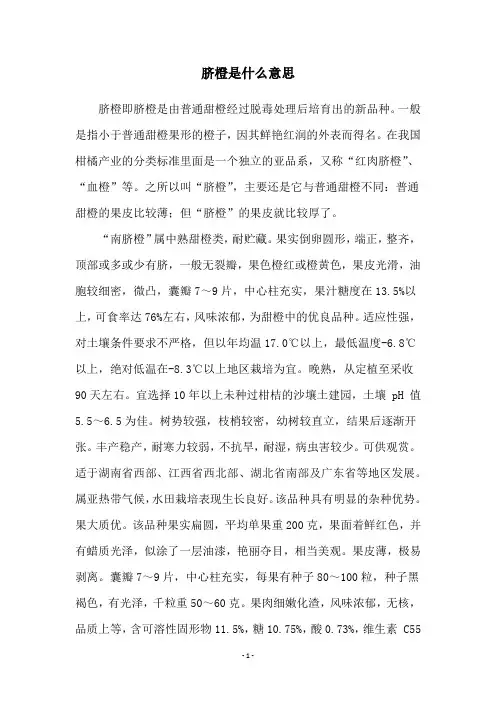 脐橙是什么意思