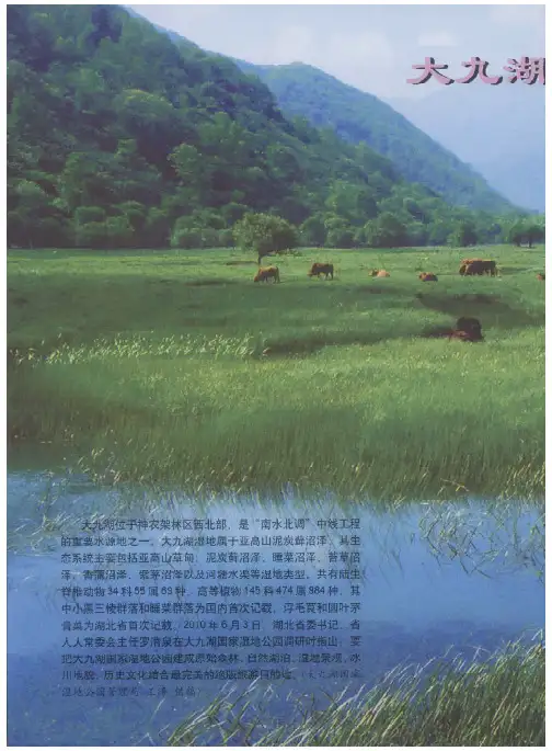 大九湖国家湿地公园