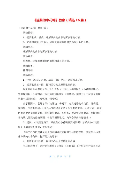 《迷路的小花鸭》教案(精选16篇)