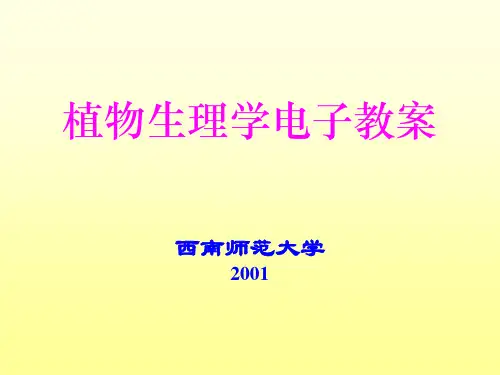 植物生理学课件(西南师大)