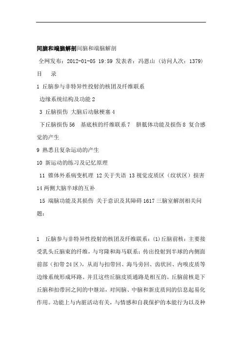 原创间脑和端脑解剖